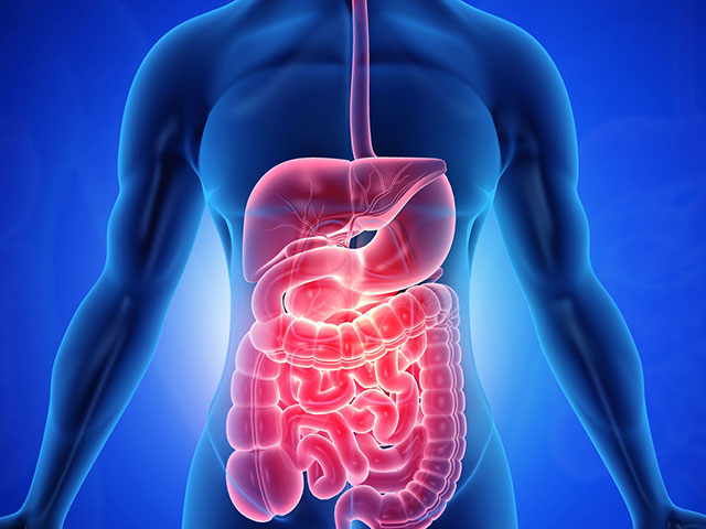 Gastroenterology field